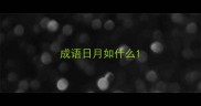 成语日月如什么