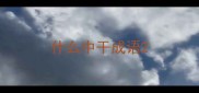 什么中干成语