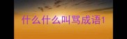 什么什么叫骂成语