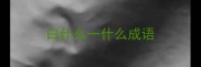 白什么一什么成语