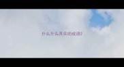 什么什么其实的成语