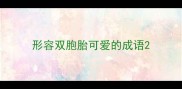 形容双胞胎可爱的成语
