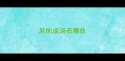 尿的成语有哪些