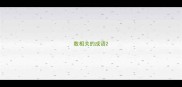 数相关的成语