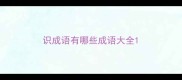 识成语有哪些成语大全