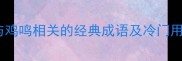 鸡鸣三更必学10个与鸡鸣相关的经典成语及冷门用法最后一个太绝了