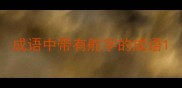 成语中带有舵字的成语