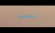 白的成语接龙
