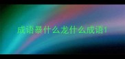 成语暴什么龙什么成语
