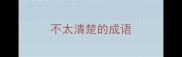 不太清楚的成语