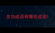 含功成语有哪些成语