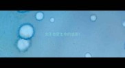 关于热爱生命的成语