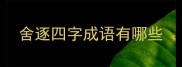舍逐四字成语有哪些