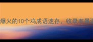 鸡你太美全网爆火的10个鸡成语速存收录率暴涨的趣味学习法