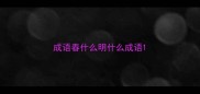 成语春什么明什么成语