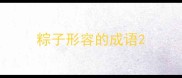 粽子形容的成语