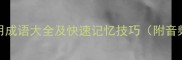 100个常用成语大全及快速记忆技巧附音频讲解