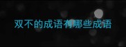 双不的成语有哪些成语