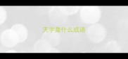 天字是什么成语