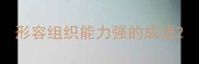 形容组织能力强的成语