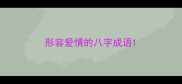 形容爱情的八字成语