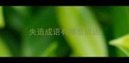 失造成语有哪些成语