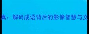 以假乱真解码成语背后的影像智慧与文化密码