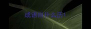 成语自什么历