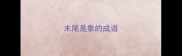 末尾是象的成语