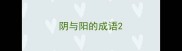 阴与阳的成语