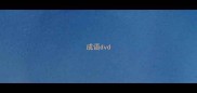 成语dvd