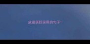 成语褒贬误用的句子