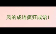 风的成语疯狂成语