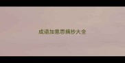 成语加意思摘抄大全