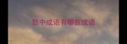 怒中成语有哪些成语