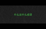 什么运什么成语