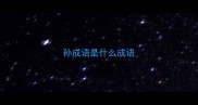 孙成语是什么成语