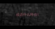 成语什么呼应