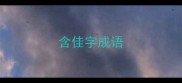 含佳字成语