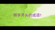 照字开头的成语