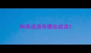 树高成语有哪些成语