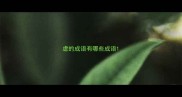 虐的成语有哪些成语
