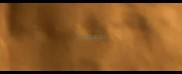 现字组成语