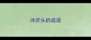沛开头的成语