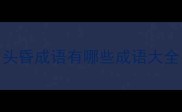 头昏成语有哪些成语大全