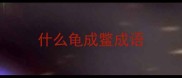 什么龟成鳖成语