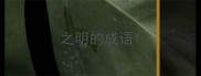 之明的成语