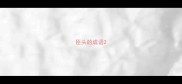 臣头的成语