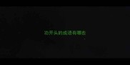 功开头的成语有哪些