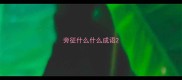 旁征什么什么成语